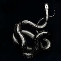 Soen – Imperial LP Soen – Imperial LP