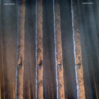 Skepticism – Companion LP