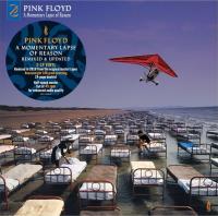 Pink Floyd – A Momentary Lapse Of Reason (Remixed & Updated) LP Pink Floyd – A Momentary Lapse Of Reason (Remixed & Updated) LP