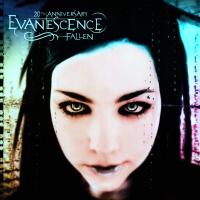 Evanescence – Fallen LP
