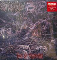 Stabbing – Eon Of Obscenity (Red With Black Marbled Vinyl) LP