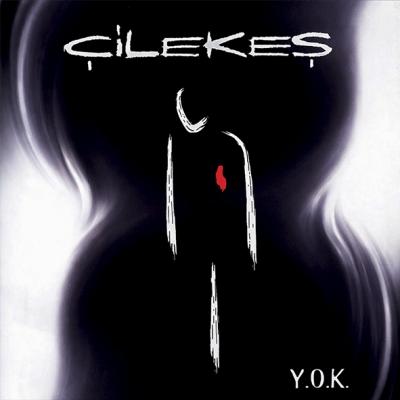 Çilekeş - Y.O.K. LP