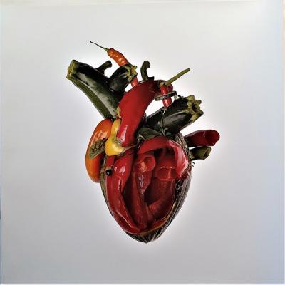 Carcass – Torn Arteries (Red Vinyl) LP