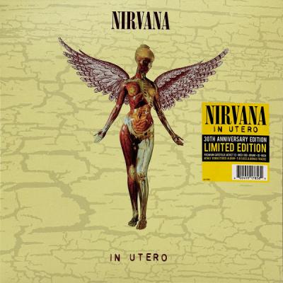Nirvana – In Utero (30th Anniversary Edition) LP