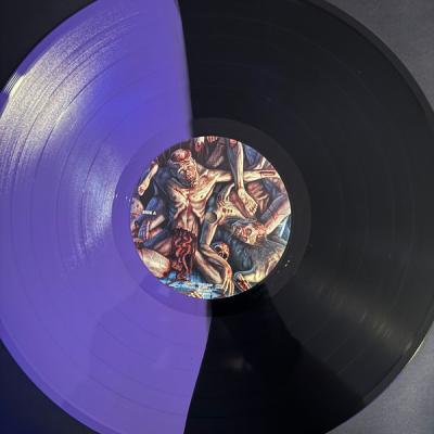 Aborted – Vault Of Horrors (Purple / Black Split Vinyl) LP