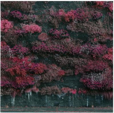 Sleep Token – Even In Arcadia CD