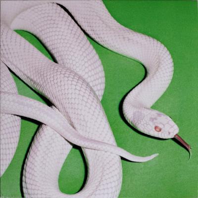 Deftones – Private Music