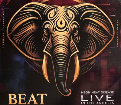 Beat – Neon Heat Disease Live In Los Angeles